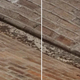 Illustration for article titled Turn Off Your Cameras Noise Reduction